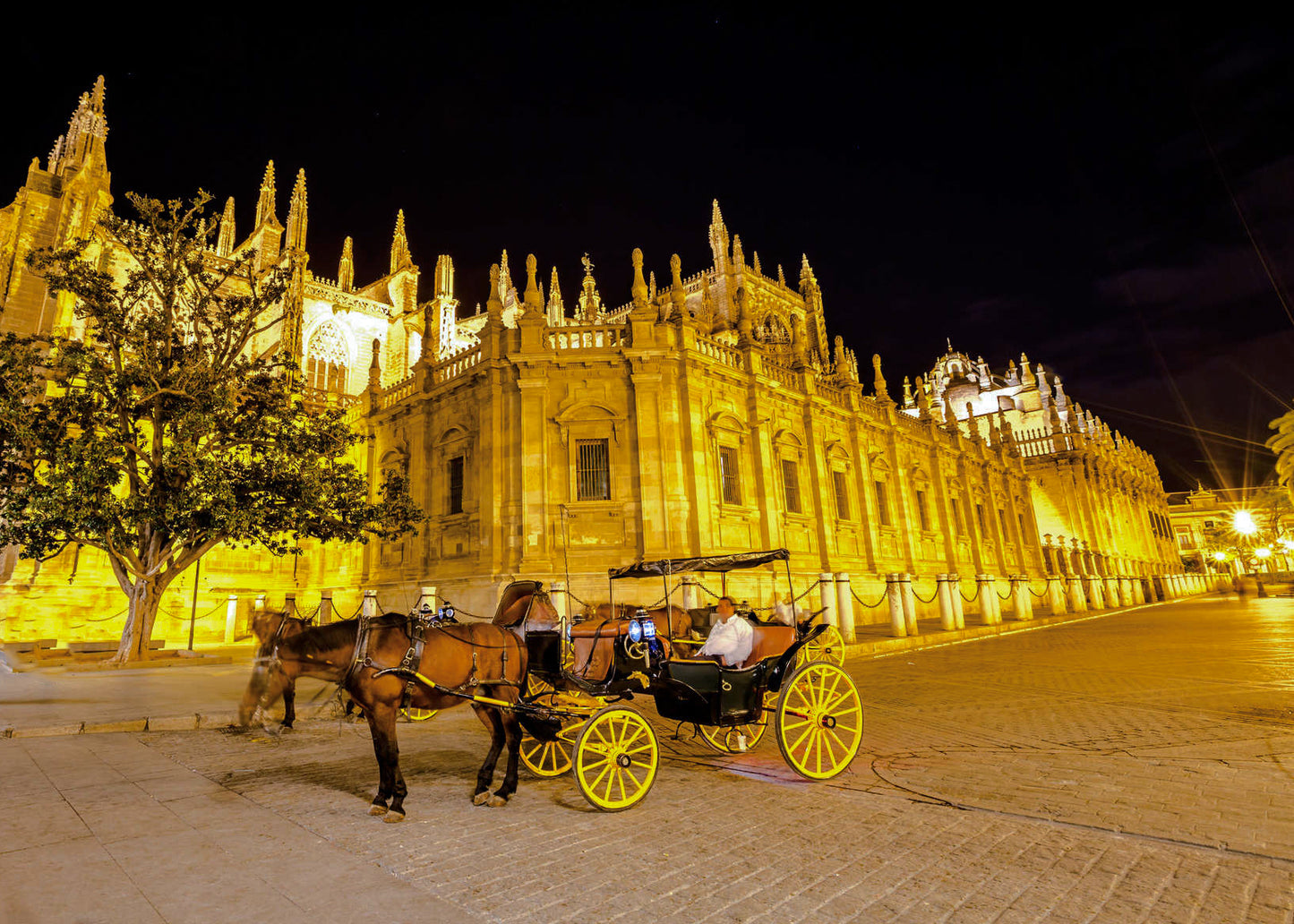 Horse Carriage Ride for Four People - 120,00€