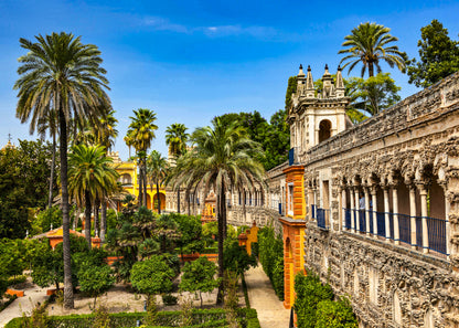 Barrio de Santa Cruz, Real Alcázar, Catedral y Giralda de Sevilla - 60,00€ 