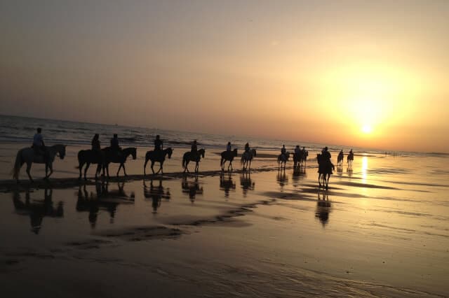 Doñana National Park - 89 €